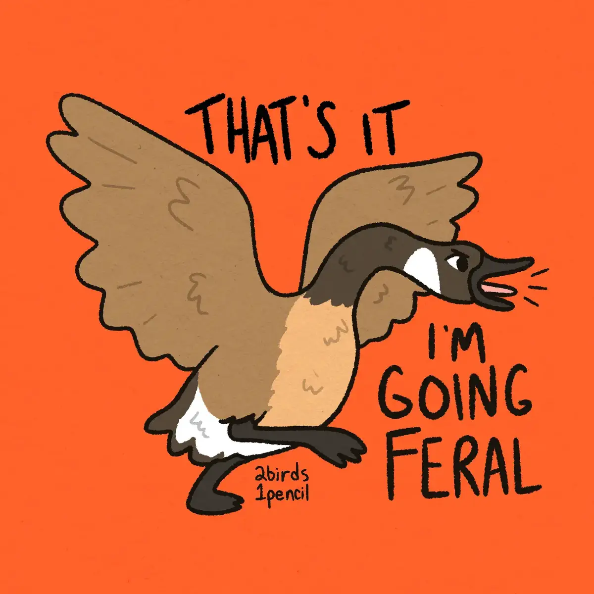 #canadagoose #geese #feral #sillyart #fyp 