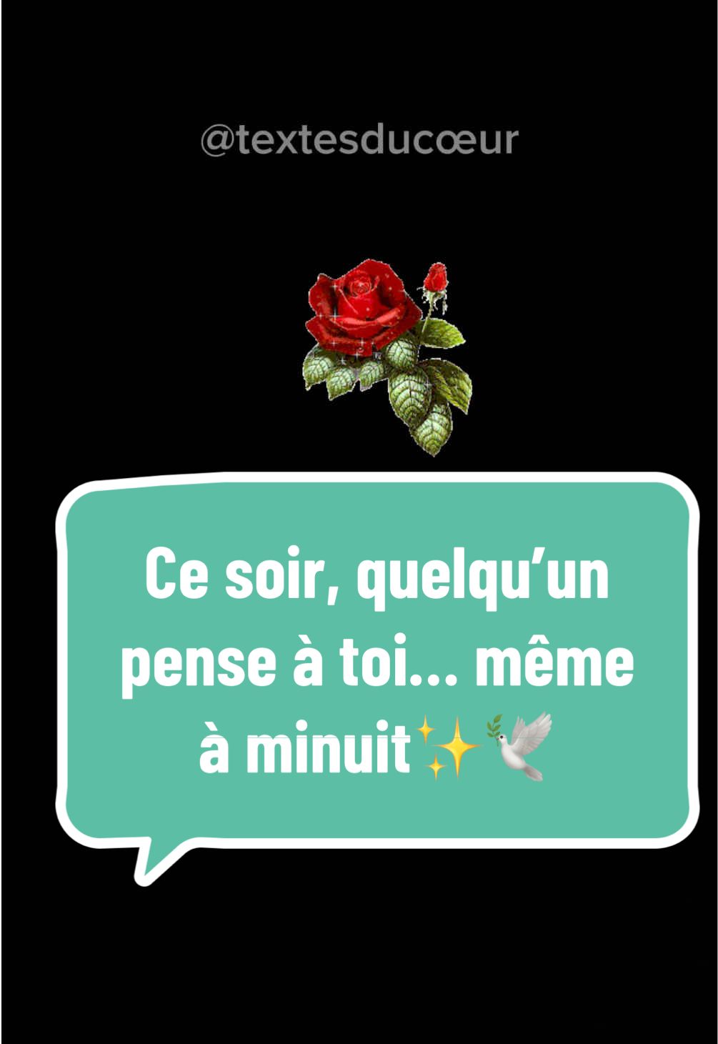 ✨ La nuit du vendredi au samedi a toujours un parfum particulier… Un moment de pause, où les cœurs fatigués de la semaine cherchent un peu de douceur. Ce texte est un bonne nuit romantique à partager avec ton amour, ou à garder pour toi, comme un secret murmuré dans le noir. 🌙❤️ Parce que même à minuit, un simple “je pense à toi” peut transformer une nuit en souvenir précieux. Et toi, à qui enverrais-tu ce “bonne nuit mon amour” ce soir ? #t#textesducoeurbonnenuit #amourvéritable #r#romantiqueminuit 
