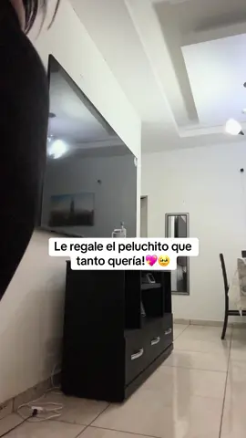 Quizás lo vean algo poco pero ella deseaba mucho ese peluchito🥹💖
