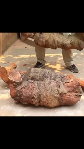 #amazing #woodworking #woodwork #foryou #fyp 
