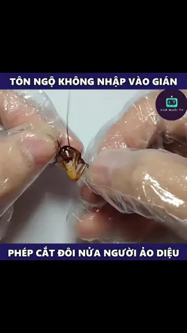 Bất tử à #viral #fyp #xuhuong 