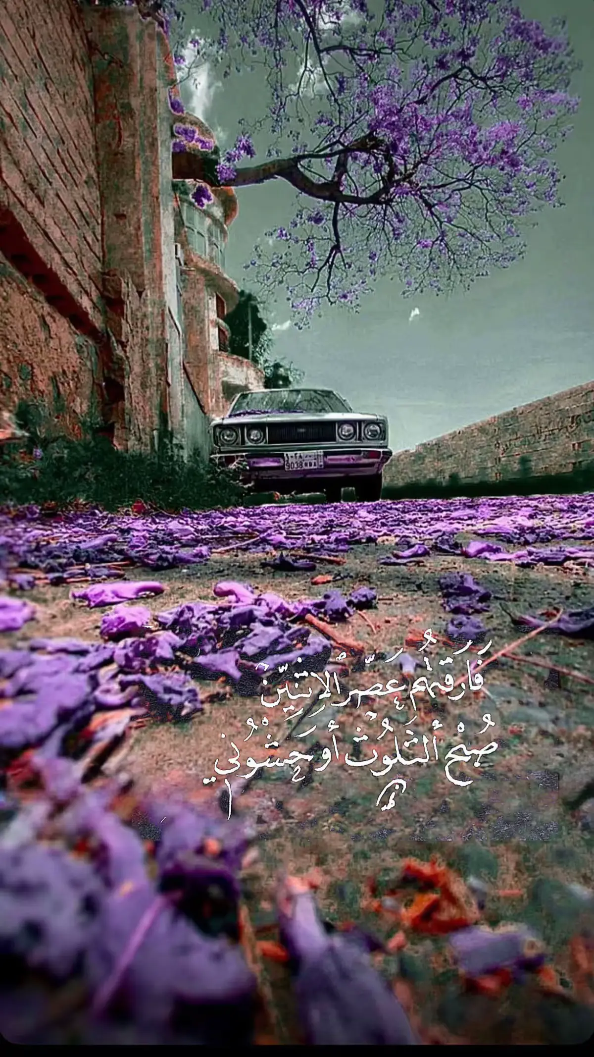 #اكسبلورexplore 