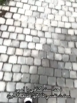 #🤍🕊 