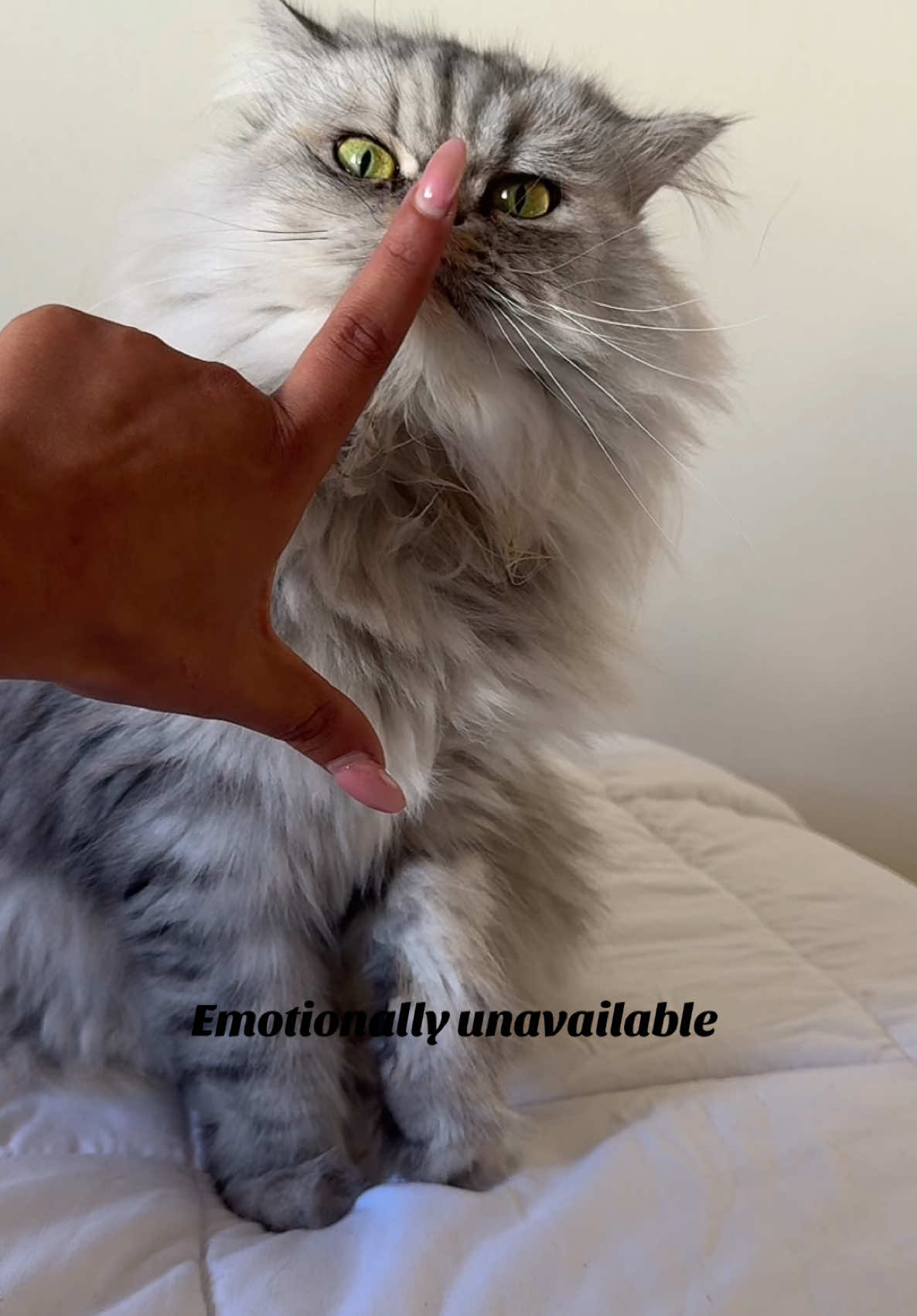 Barely made it to O 😂 #trending #goviral #fyp #trendingvideo #catsoftiktok #explore 