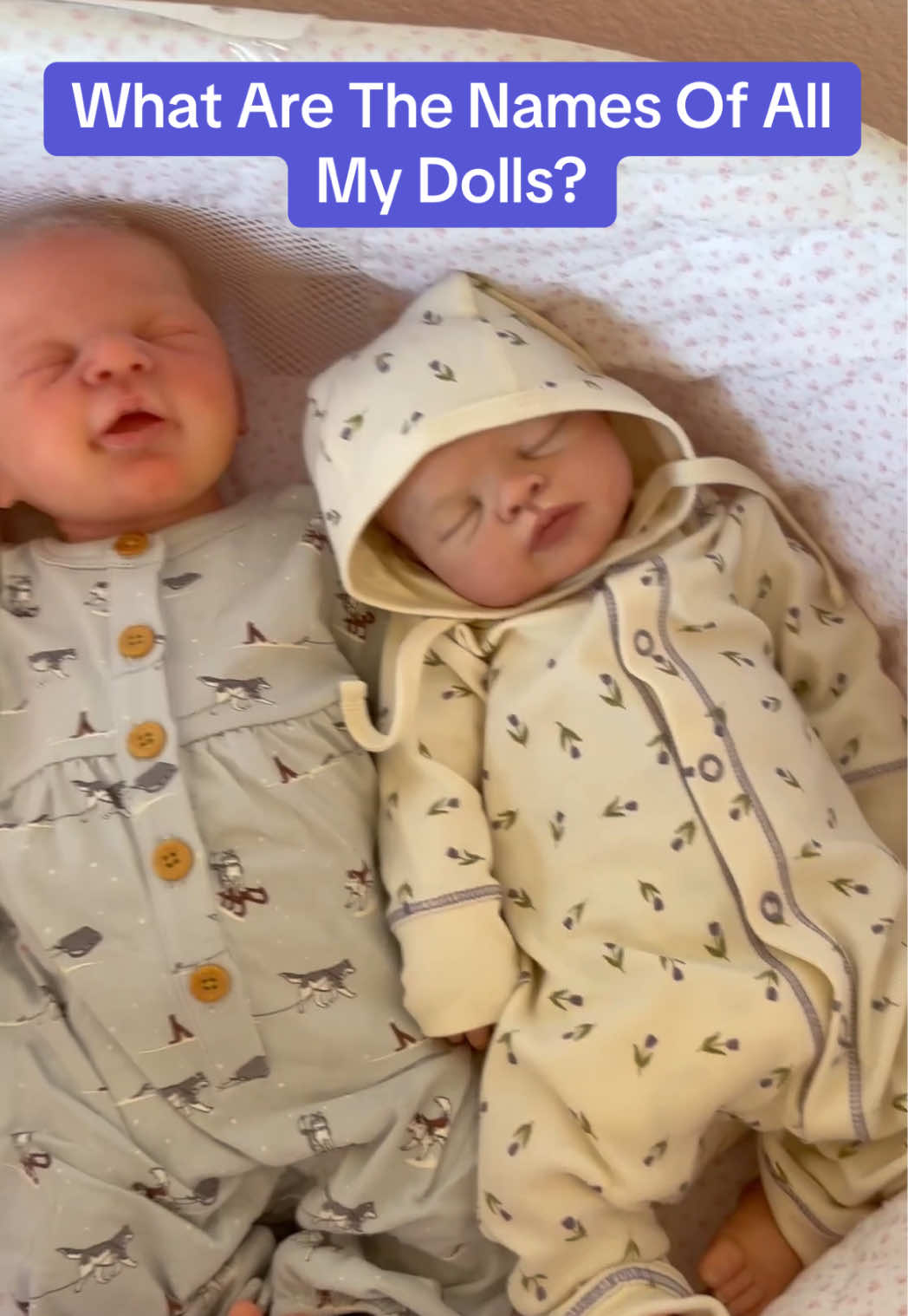 Here’s all the names of my reborn and silicone baby dolls! I have a lot of dolls, including a giveaway baby! If you’d like to win the giveaway baby go to the link in my bio to enter 💕 #rebornbaby #siliconebaby #fakebaby #doll #giveaway