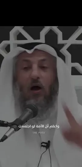 #الوتر_جنة_القلوب 🕊️