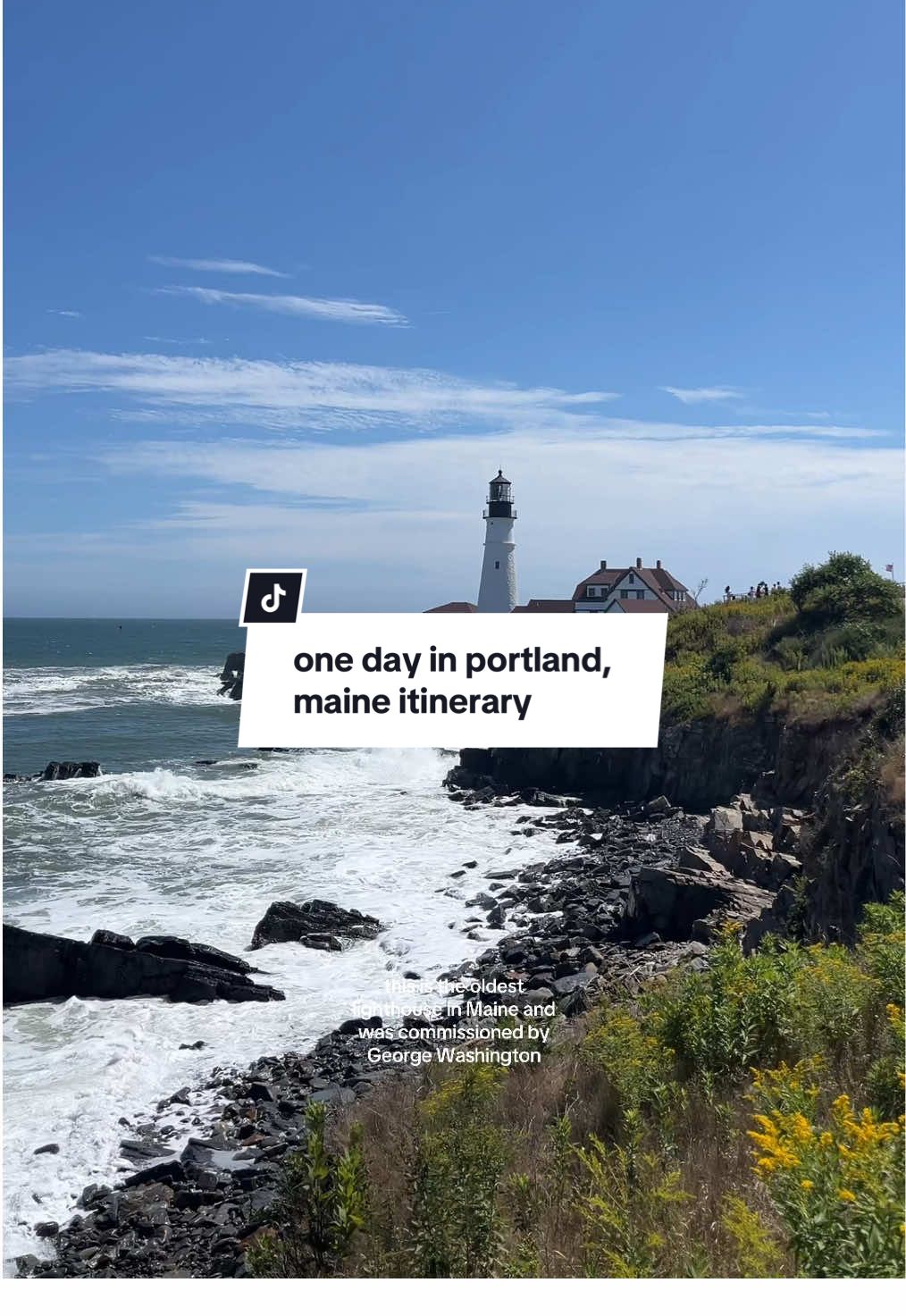 save this for your next trip to portland, maine! 🦞 #portland #maine #travel #travelling #traveltok @Portland Schooner Co. sailboat | east coast | summer | travels | coastal | northeast | lobster rolls | seafood