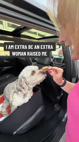 protect Pam at all costs #fy #MomsofTikTok #parentsoftiktok #mom #reunited 