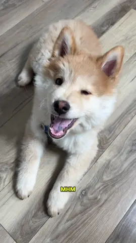 the wink 🥹💛