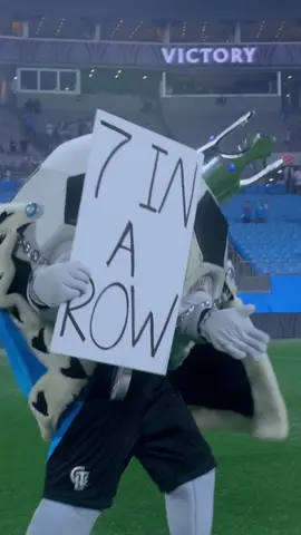 Some are saying these videos help keep the winning streak alive 🤷‍♂️ #MLS #memes #banter