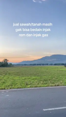 yg paham