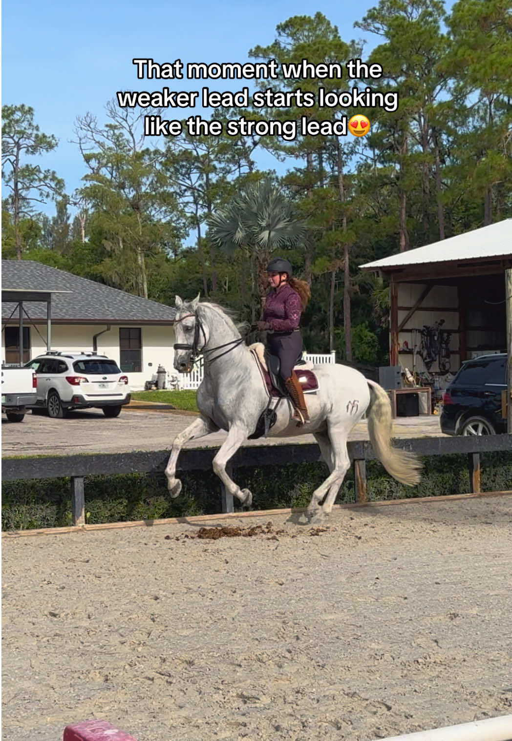 When it all starts to come together again. First couple rides back in the double with a new set up! So happy with his progress! #armasfuencaliente#sbcdressage#fypシ#horse#foryoupage❤️❤️