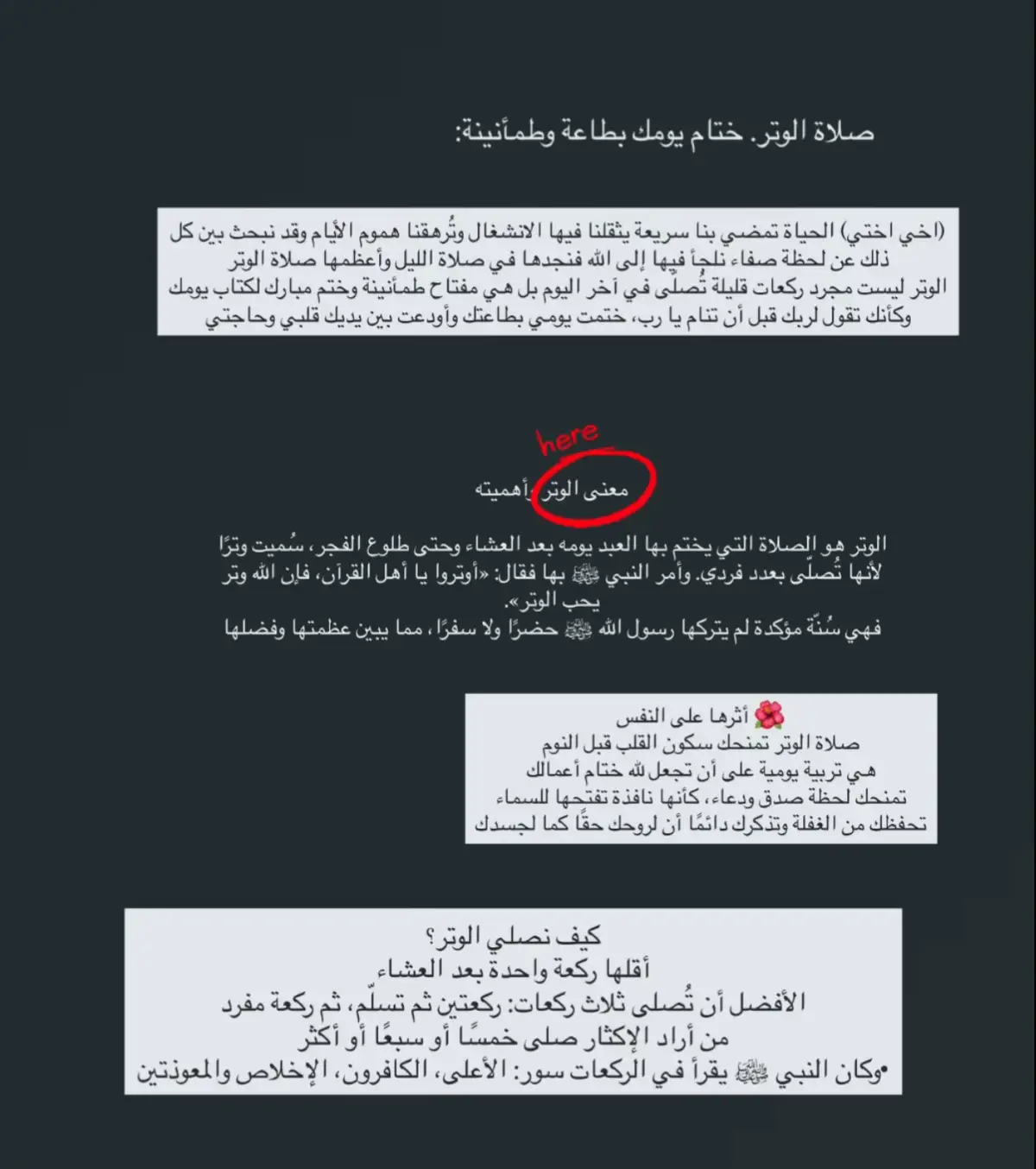 #الوتر #سبحان_الله_وبحمده_سبحان_الله_العظيم #يارب❤️ #like #life #explor #قران_كريم #لاحول_ولا_قوة_الا_بالله_العلي_العظيم 