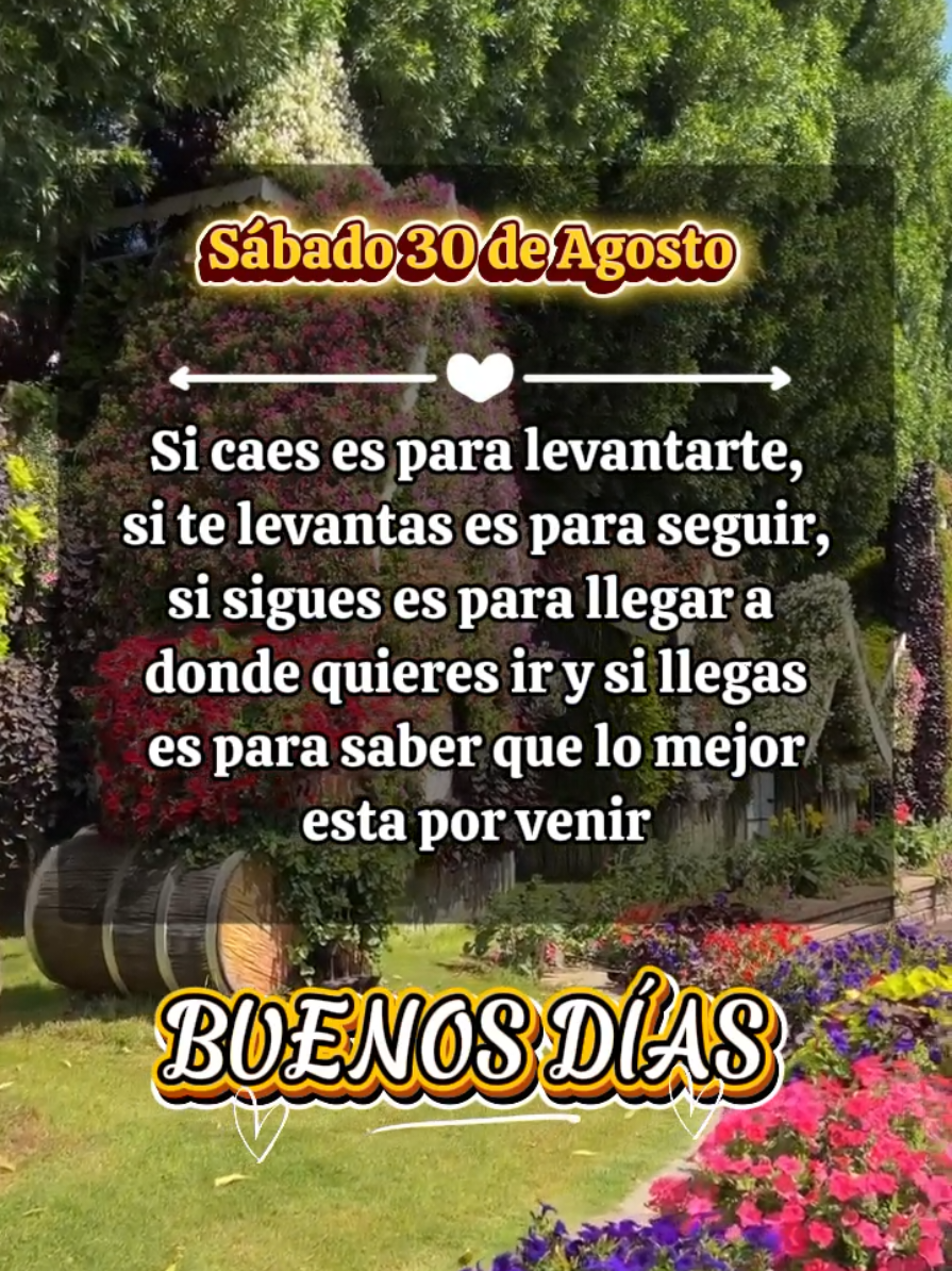 Buenos Días ☀️ Excelente Sábado para todos ✨️ #BuenosDias #frases #Sábado #bellasfrases91 #buenosdias 