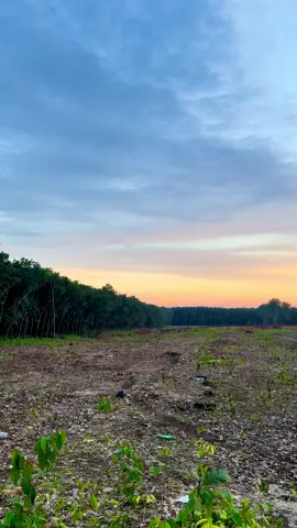 #pazmental🙌🏻❤️#viraltiktok #atardeceres🌅#algoritmatiktok 