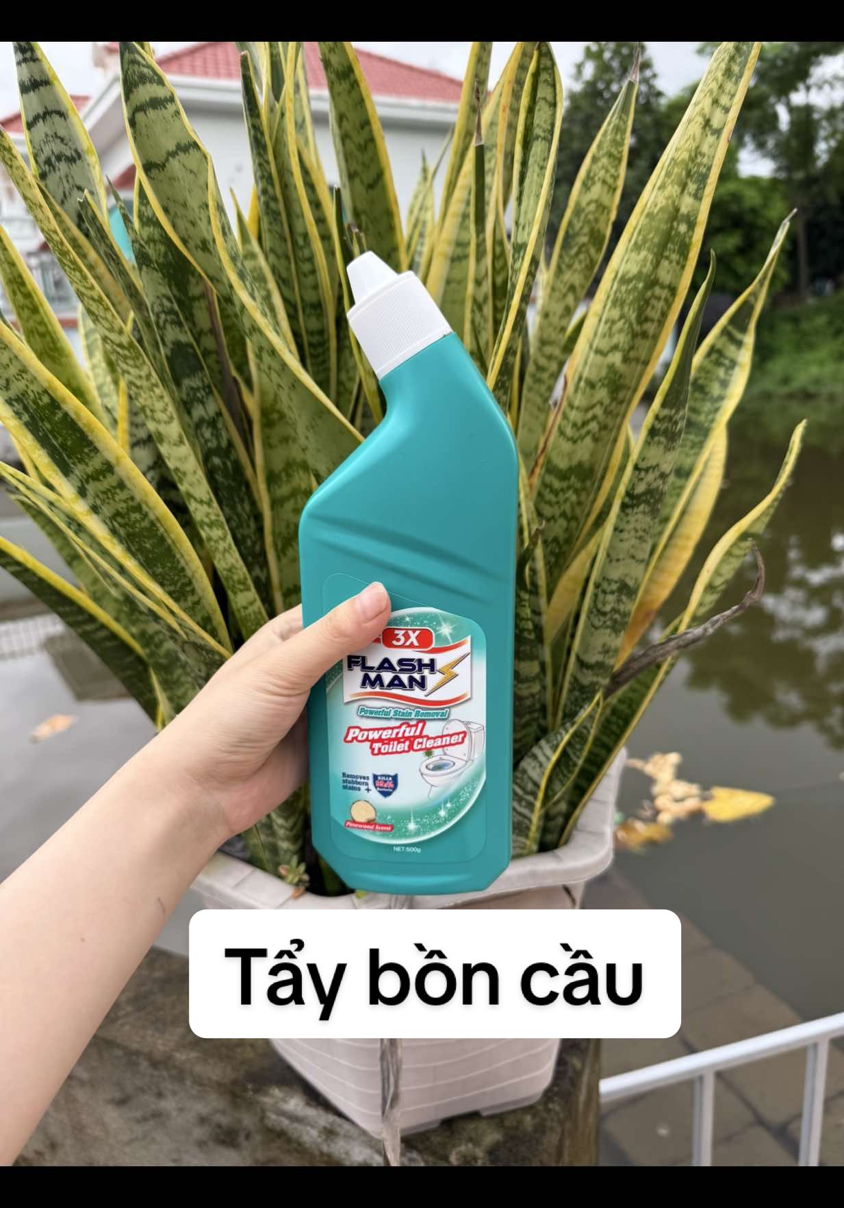 #CapCut  Tẩy Bồn Cầu . Sạch- sáng bóng  #xuhuong #nuoctayboncau #tiktok 
