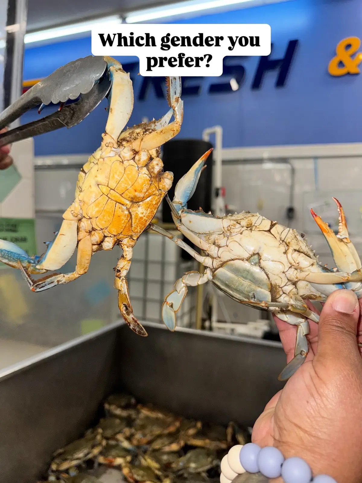I absolutely love me some blue crabs! I’ll take them over any other crab any day. TBH it doesn’t matter if it’s male or female either 🤣 I know a lot of people have a preference. Which gender you prefer and why? 