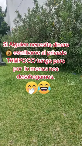 #si alguien necesita dinero, escríbame al privado tampoco tengo pero nos desahogamos #🤭🤣#humor #memes #viralparatiiiiiiiiiiiiiii🤣🤭 