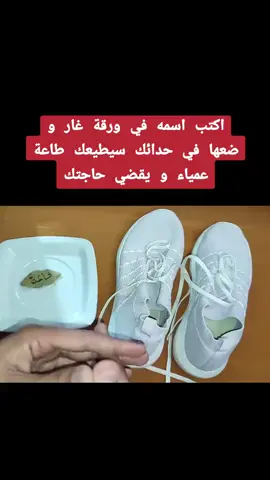 #بلجيكا #فرنسا #المانيا🇩🇪  #سويد🇸🇪  #هولندا🇳🇱 