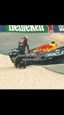 Como lo limpiaba 😭😭 #maxverstappen #fypシ゚ #formula1 #redbull 