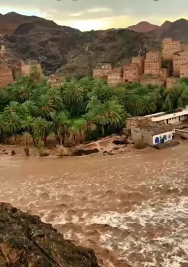 #اليمن #الجوف #🇾🇪 #