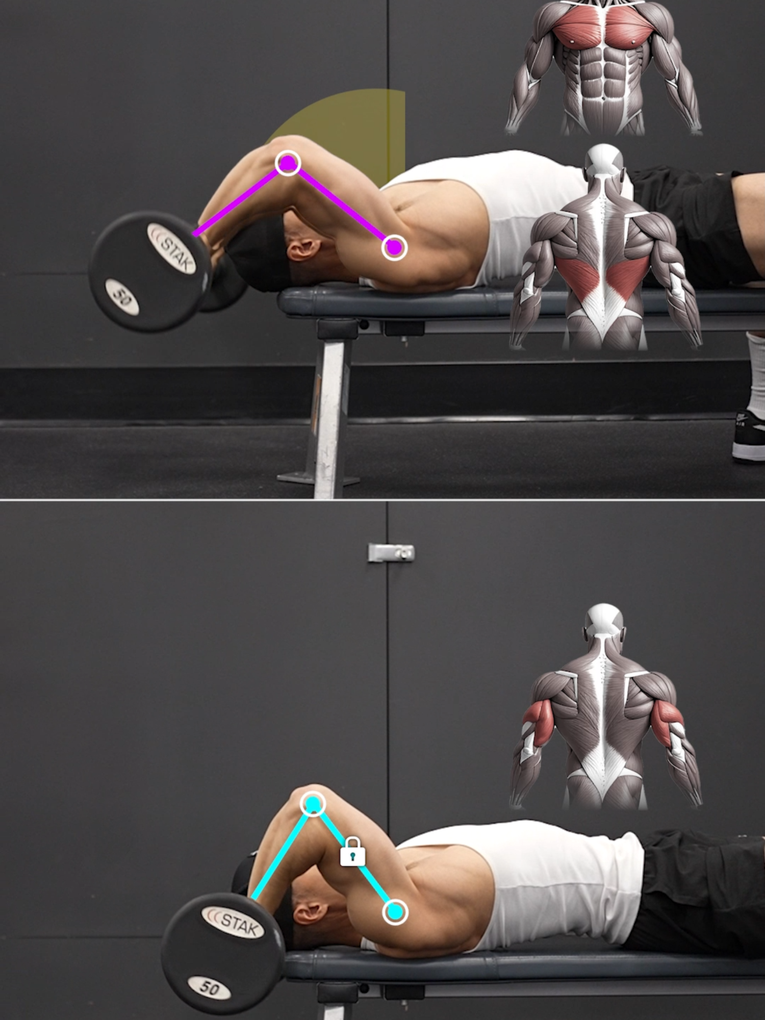 Pullover vs. Lying Triceps Extension (KNOW THE DIFFERENCE!)   In a barbell pullover, the elbows stay bent and the elbow angle changes only slightly. Most of the motion comes from the shoulders, with the upper arms moving through about a 60° range of motion.  In a lying barbell triceps extension, the upper arms stay fixed while the elbow angle changes significantly as you extend and flex the triceps.   Size & Shred Training program 👉🏻 deltabolic.com (link in bio) #pullover #skullcrusher #tricepsextension