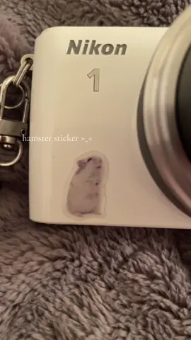 camera is nikon 1 s 1 #digitalcamera #digital#decor#cats#fypシ 