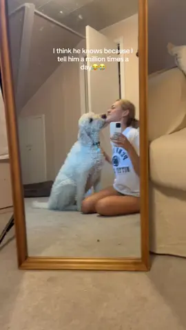 I love this dog so much it hurts😭❤️ #mybestfriend #dogismybestfriend #mypup 