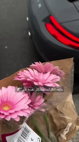 #في هذا اليوم 