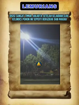 DISISI SANGAT TIMUR JAKARTA SETELAH KEJADIAN OJOL  KELINDES POHON INI SEPERTI BERGERAK DAN MARAH, APAKAH MEMANG ALAM SUDAH MURKA ATAU INI ADALAH BANGSA BRODELA!!! ATAU KAH INI CUMAN IMPLAN HOLOGRAM, MIMIN DAPAT VIDEO INI DARI NAKAMA YG DEMO PADA WAKTU ITU, APAKAH MEMANG ADA CAMPUR OLEH MAKHLUK ALIEN. TERSERAH NAKAMA UNTUK MENAFSIRKAN NYA #alien #demodpr #lemuria #jaktim #fyp 