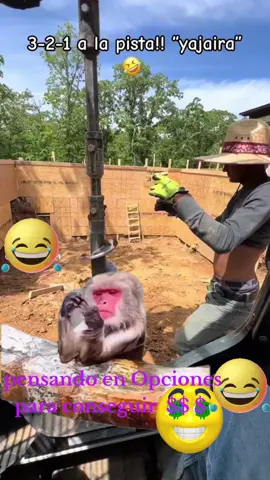 humor😁🤣Meme #MemeCut #CapCut 