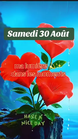 Bon samedi béni 🌈🌺💐💛🧡💛 Que Dieu nous bénisse abondamment 🤩😍🙌🫶💛🥳🧡🥰💫💐🙏 #creatorsearchinsights #bonmatin 🥳 #mercimondieu🙏🙏😍🥰 #mercijesuspourtaprotection🙏🙏🙏 #amen 🙏  