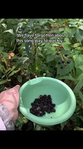 #christinaperri #jarofhearts #millenialmusic #blackberries #berrypicking 