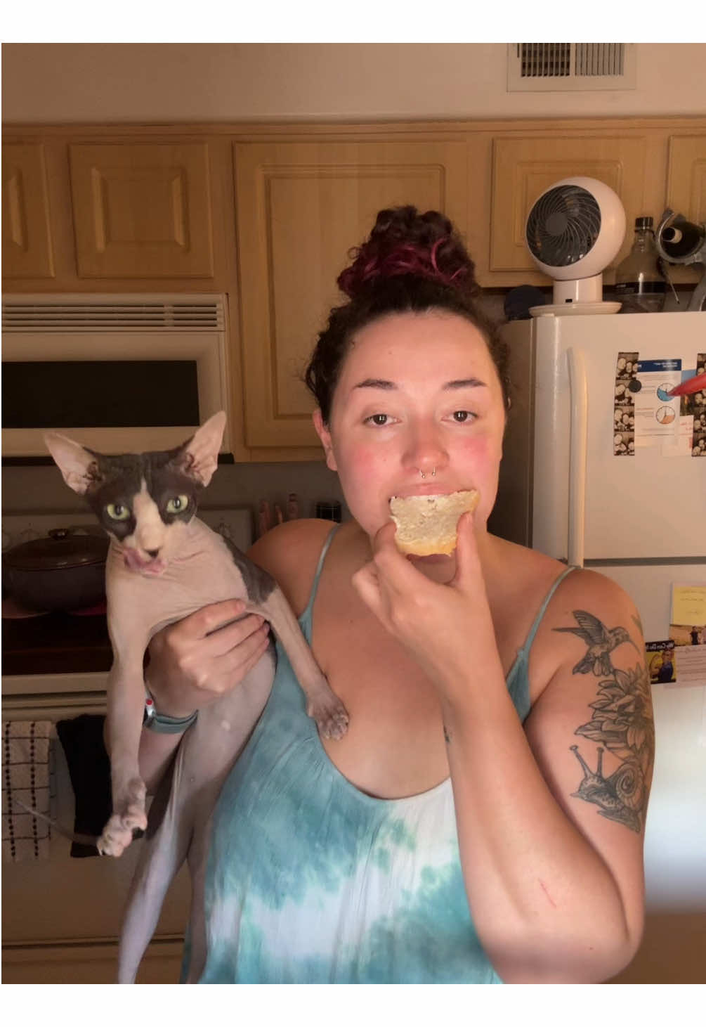 Booker’s bread is the best bread because it was made with love 😂  #sphynx #hairlesscat #sphynxcat #catsoftiktok #fyp 