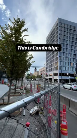 Plaza renovation in Cambridge Massachusetts! #boston #cambridge #massachussetts #creatorsearchinsights 