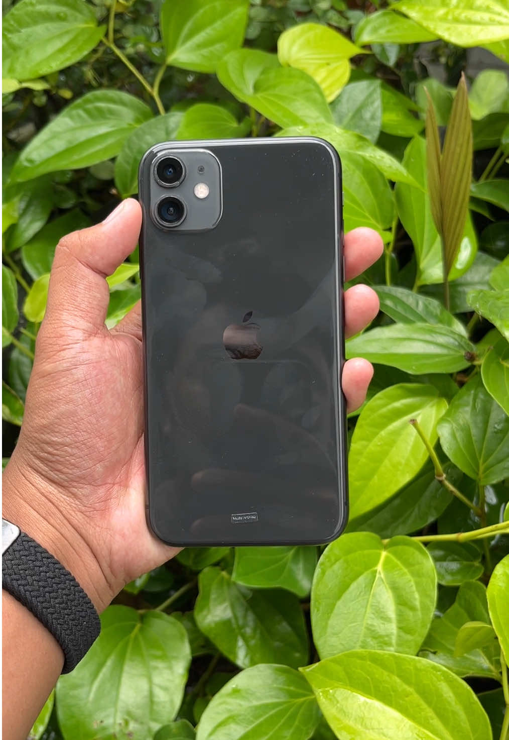 iPhone 11 ( iBox ) - internal 64Gb ✅ - Kamera D/B jernih ✅ - Faceid & Truetone ✅ - Baterry Health 99% ✅ - Mode regional ID/A ✅ #jualbeliiphone #iphonesecond #iphonebanyuwangi #hpsecondbanyuwangi #bwi24jam 