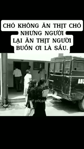 #laotuso #tuvi #phongthuy #xuhuong 