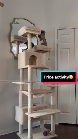 Nice day#cats #catsoftiktok #fyp #cattree #catlife 