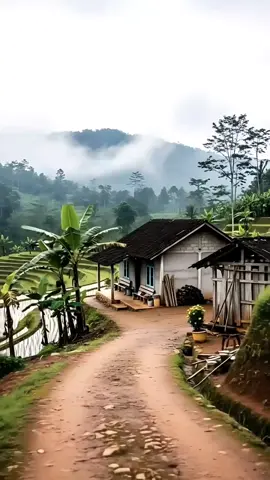 Pagi Desa yang Asri Embun menitik di ujung daun, menyapa bumi dengan kesejukan, sinar mentari perlahan datang, membangunkan desa dalam kedamaian. Kicau burung bersahut lembut, irama alam menebar syahdu, udara segar menari di dada, mengalirkan tenang yang tiada tara. Sawah terhampar hijau gemilang, dititipkan doa di setiap helai padi, langkah petani menyusuri pematang, menyulam harapan dalam harmoni. Oh, pagi desa yang sederhana, kau ajarkan arti bahagia, bahwa indah tak harus megah, cukup tenang, cukup apa adanya. #vibes #tiktok #desaku #kampung 