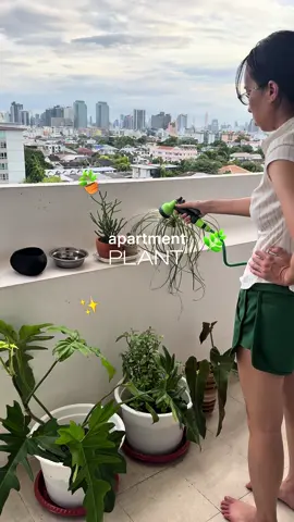 ความพยายามปลูกต้นไม้ของคนมือร้อน🥲🪴🌿💚 #ต้นไม้เลี้ยงในคอนโด #เลี้ยงต้นไม้ในห้อง #ปลูกต้นไม้ในห้อง 