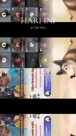 #padahariini