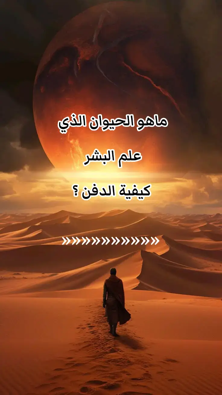 #معلومات_دينية #أسئلة_دينية #أسئلة_وأجوبة #سؤال_جواب #صلي_علي_النبي 