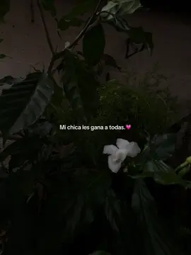 A toditassss💗#amor #dedicar #novios #teamo @⭑𓂃𝐅𝐀𝐓𝐈𝐌𝐀⋆˚࿔ 