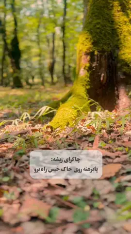 #tiktok #foryou #viral #foryoupage❤️❤️ #explore @فدراسیون کهکشانی نور 