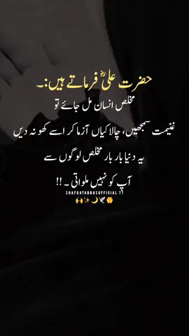Hazart Ali Urdu Aqwal Urdu Quotes 😭 🥀💯✨🍁🌹🌷#viral #treanding #hazzratali #shafqatabbasofficial77 #foryou 