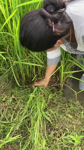 @Dipa Malla @Pabitra pun @भगवती मल्ल @mahendra chand #creatorsearchinsights #newtiktokupdate2025❤️ #myfirstvideoviral #creatorsearchinsights #creatorsearchinsights2025💗💗💪💕✅✅ 