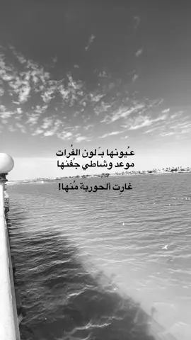 #fyppppppppppppppppppppppp #اكسبلورexplore #fypシ゚viral 