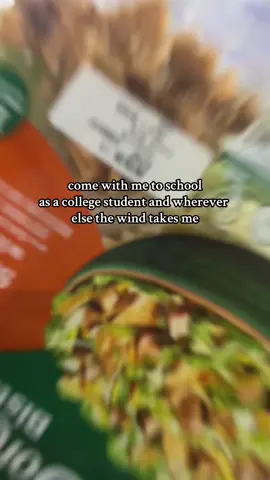 bruh #fyp #foryou #viral #college #spendthedaywithme 