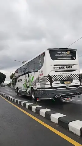 kids panda 🐼😍 #videobus #fyp #busmania #trending #soundviral @AGUNG KIDSPANDA @Ijalll🕷️ @baikrasaperkasa 