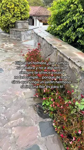 Elige a un hombre real ❤️‍🩹 #elefanteangel #cuentodehadas #flor🌷 